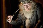 The elder wand and dumbledore