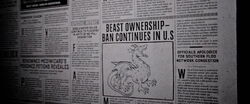Fantastic-beasts-movie-screencaps com-44.jpg