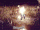 Greyback harry stun.gif