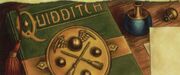 Le Quidditch à travers les âges (Trading Card).jpg