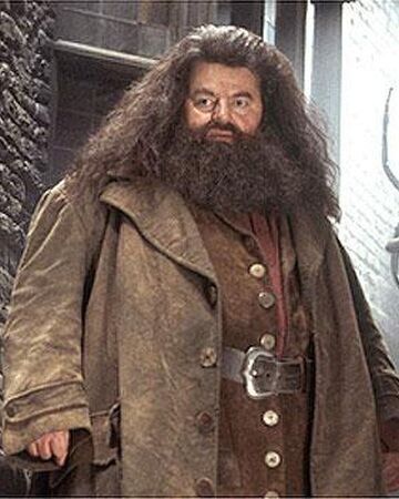Rubeus Hagrid Harry Potter Wiki Fandom