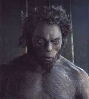 Fiorenzo, uno dei pochi centauri con rapporti coc l'uomo