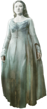 House ghost, The Grey Lady
