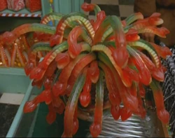JellySlugs