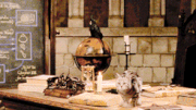 Mcsnurp animagus.gif