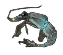 Prawn