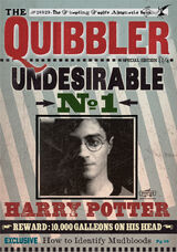 MarissaEllen Maker Co. - Harry Potter ~ Luna Lovegood's Quibbler