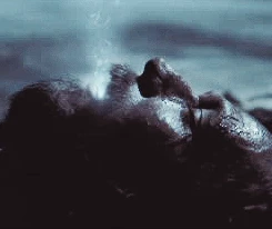 吸魂鬼のキス | Harry Potter Wiki | Fandom