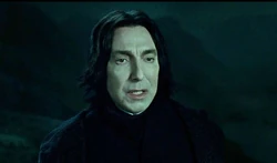 Snape podczas rozmowy z Dumbledore'em