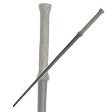 Wand Harry Potter Wiki Fandom