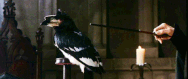  dimostra la trasformazione di un uccello in un calice.