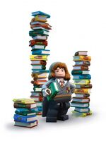 Hermione books Lego Years 1 to 4