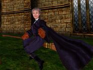 Madam Hooch (PC)