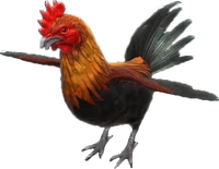 Fire-breathing chicken (cropped) WU