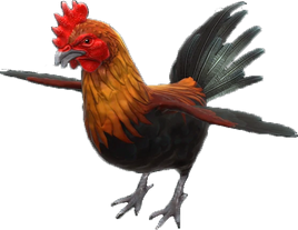 Fire-breathing chicken (cropped) WU