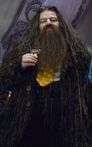 Rubeus Hagrid