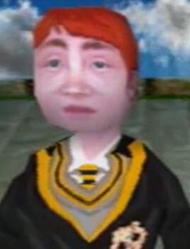 Hufflepuff Duelling Champion