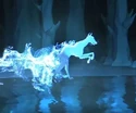 IbizanHound-patronus.jpg (28 KB) Ibizan Hound