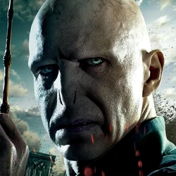 Lord Voldemort MP.png