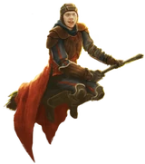 QuidditchKeeperRonWU