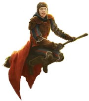 QuidditchKeeperRonWU