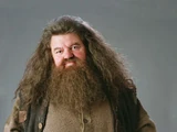 Família Hagrid