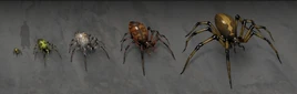 Spider HL concept