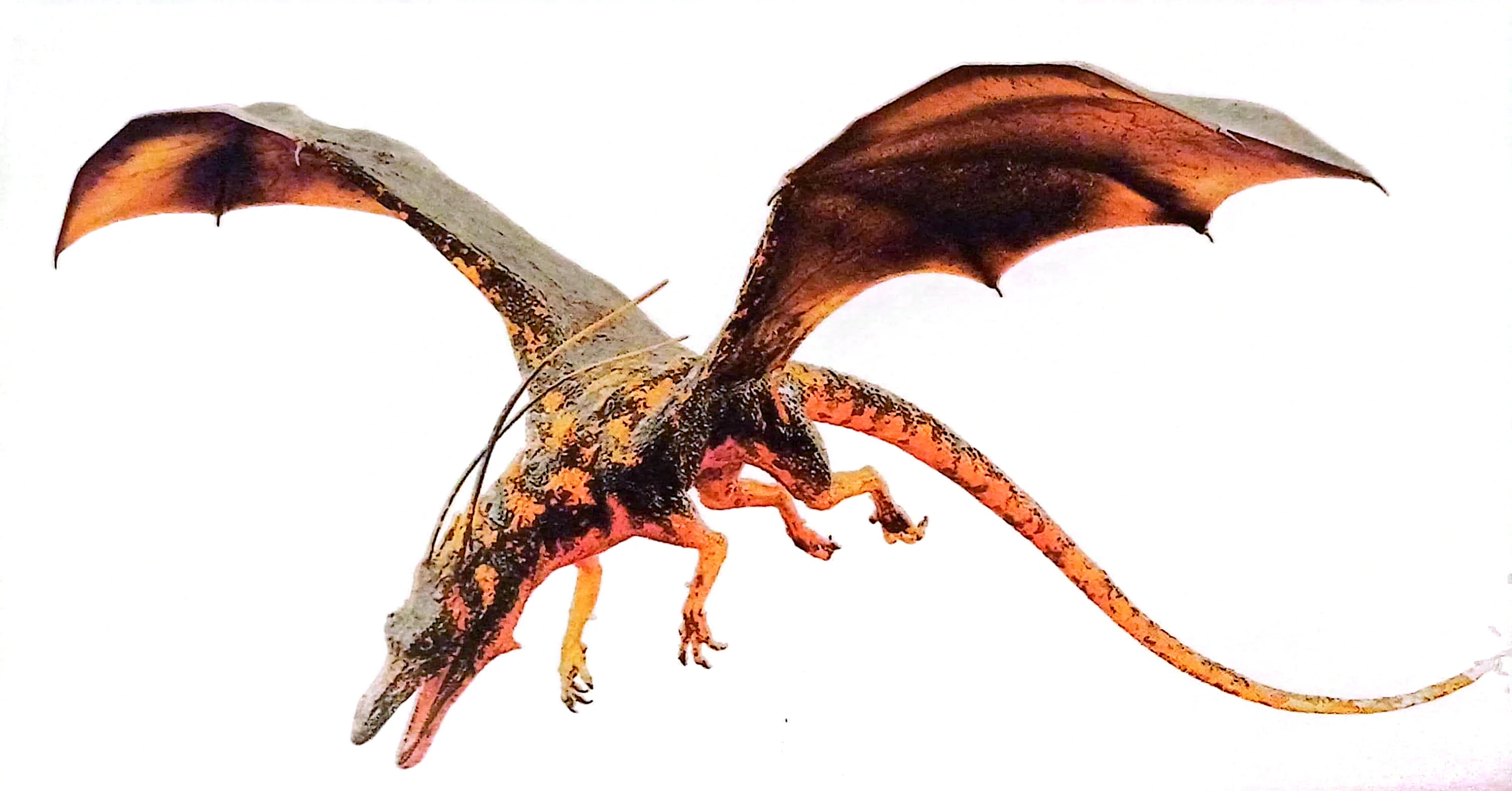 Dragfeu | Wiki Harry Potter | Fandom, image size:3000x1569