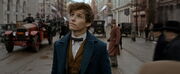 Fantastic Beasts Newt 01