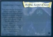 HagridKeeperofKeysHolo-TCG