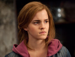 Hermione Granger - Harry Potter Wiki - Neoseeker