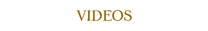 Hp-wiki-videos.png