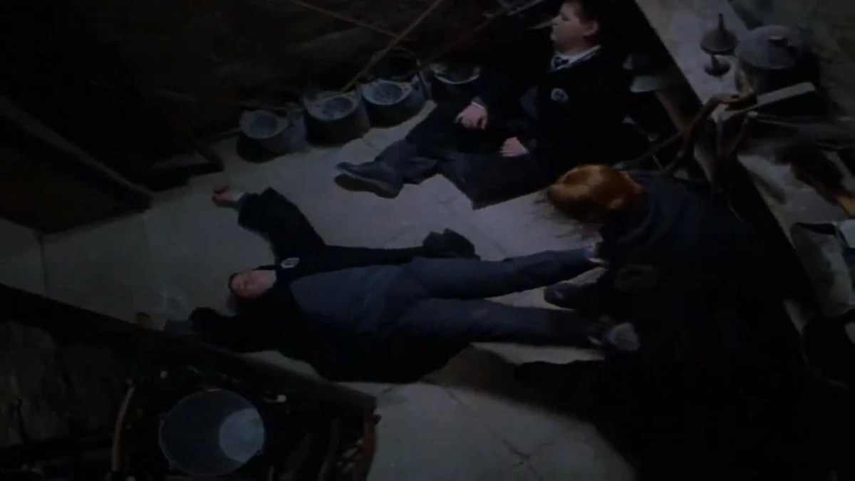 Broom cupboard (Entrance Hall) Harry Potter Wiki Fandom