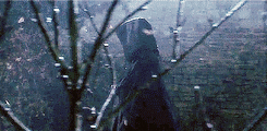 Voldemort arrives.gif