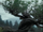 Whomping Willow (Summer)..png
