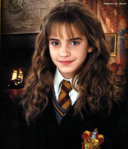 Chamber-of-Secrets-hermione-granger-3357514-530-616