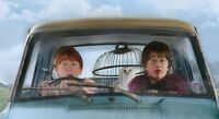 Harry et Ron dans la voiture