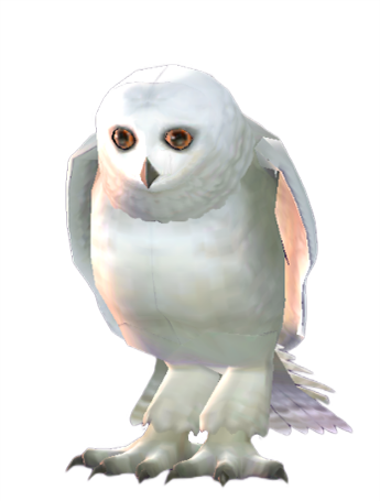 Owls, Pottermore Wiki