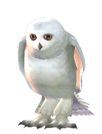 Snowy owl, Harry Potter Wiki