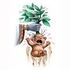 Baby Mandrake colour.jpg