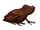 Chocolate Frog