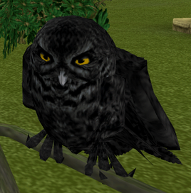 Triton (hibou)