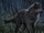 Werwolf