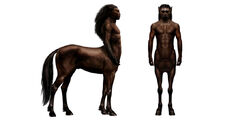 Centauren (gehele lichaam - conceptual artwork)