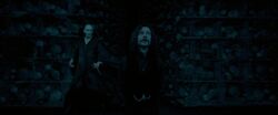 False vision - Voldemort tortures Sirius Black