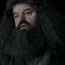 HP3RubeusHagrid