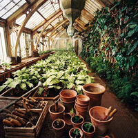 Third greenhouse
