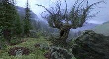 Гремучая ива