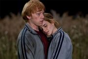 562px-Ron-y-Hermione-en-la-Madriguera