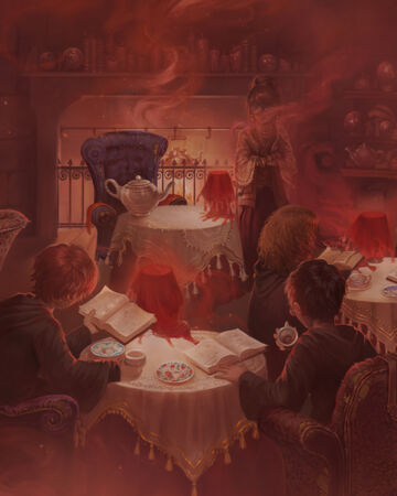 Divination Class Harry Potter Wiki Fandom